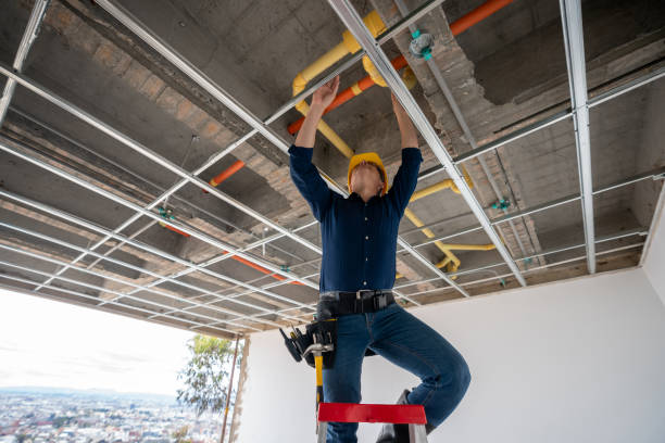 Best Local Plumber Services  in Lakefield, MN