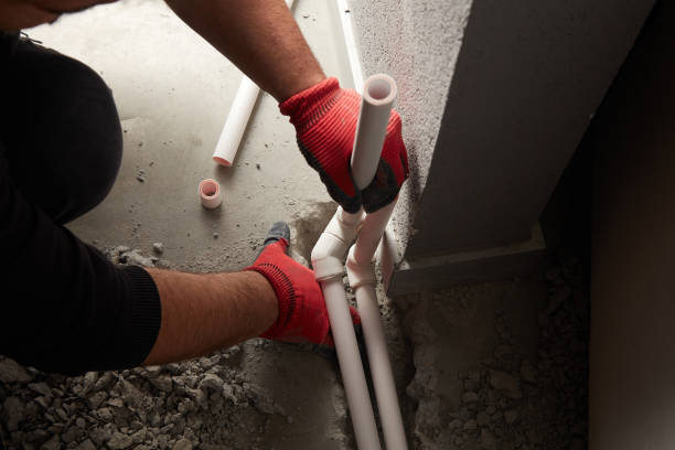 Best Plumbing Services Near Me  in Lakefield, MN