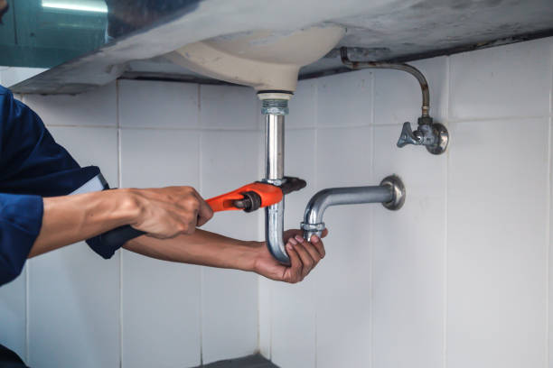 Best Same-Day Plumbing Service  in Lakefield, MN