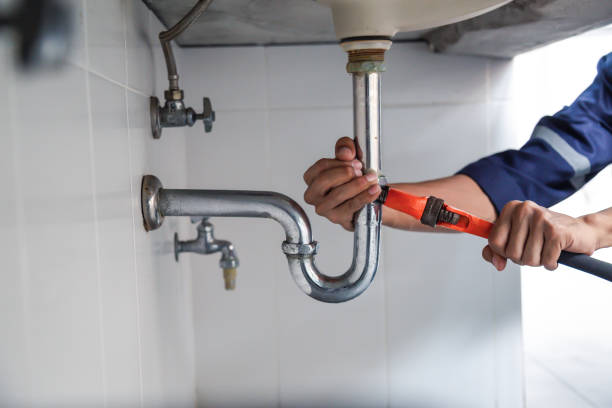 Best Plumbing Inspection Services  in Lakefield, MN