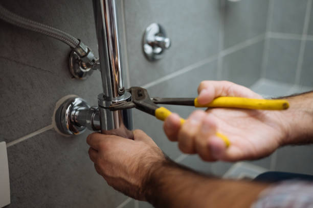 Best Commercial Plumbing Services  in Lakefield, MN